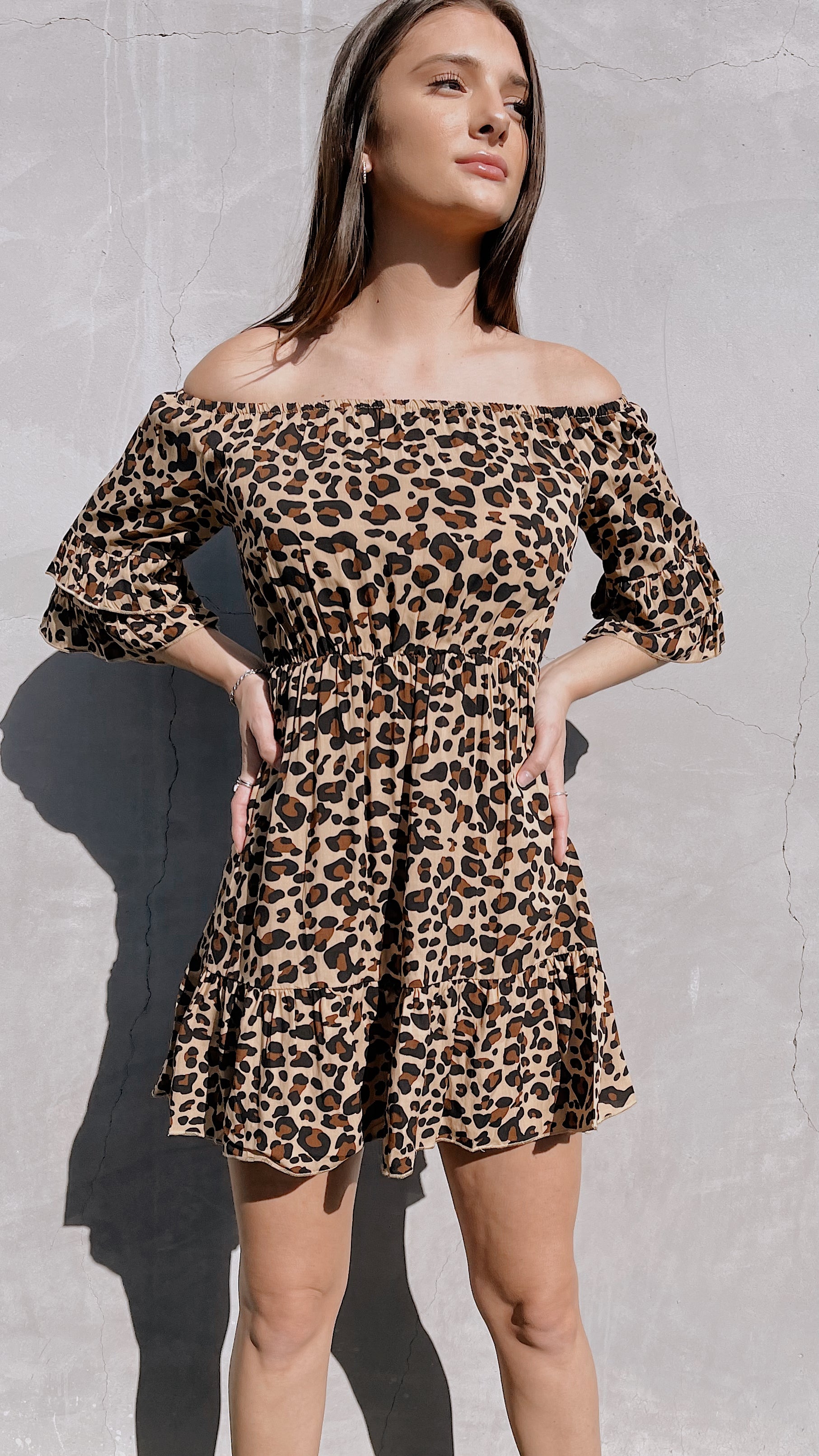 Off shoulder animal print dress sale